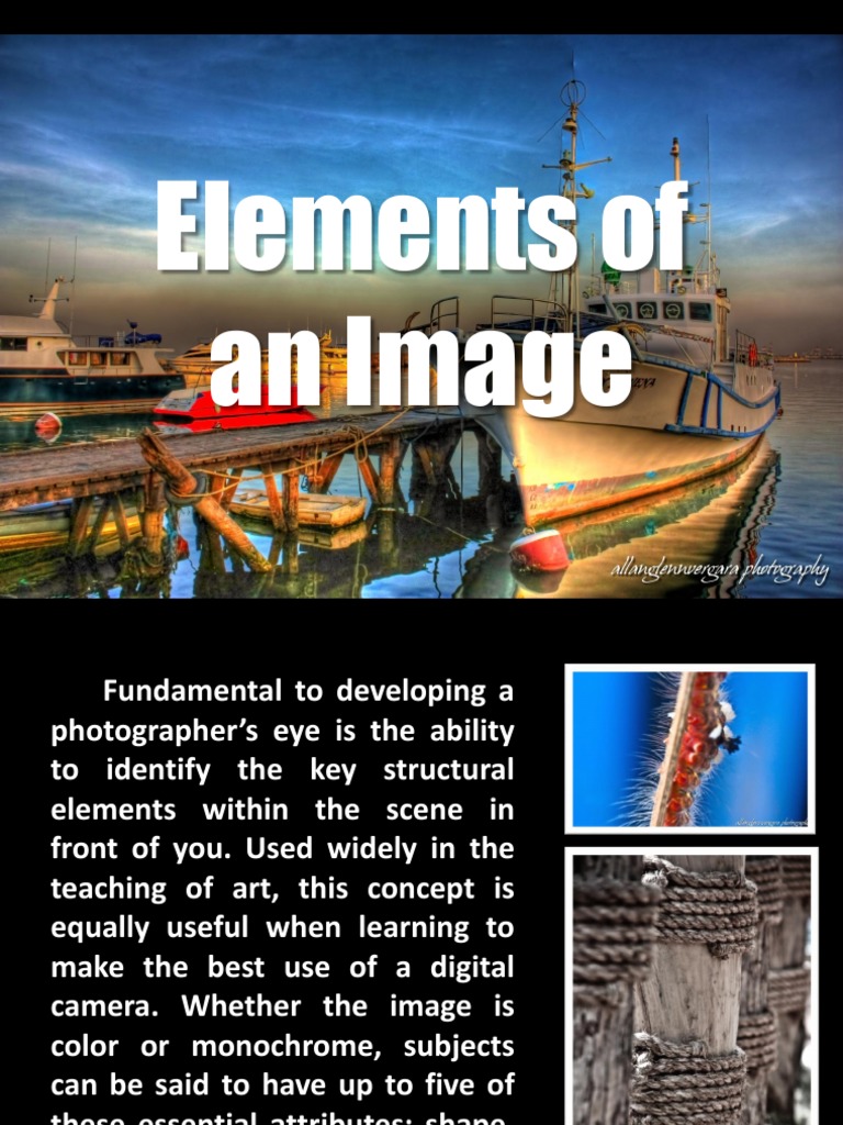 Elements of Photo | PDF | Composition (Visual Arts) | Vision