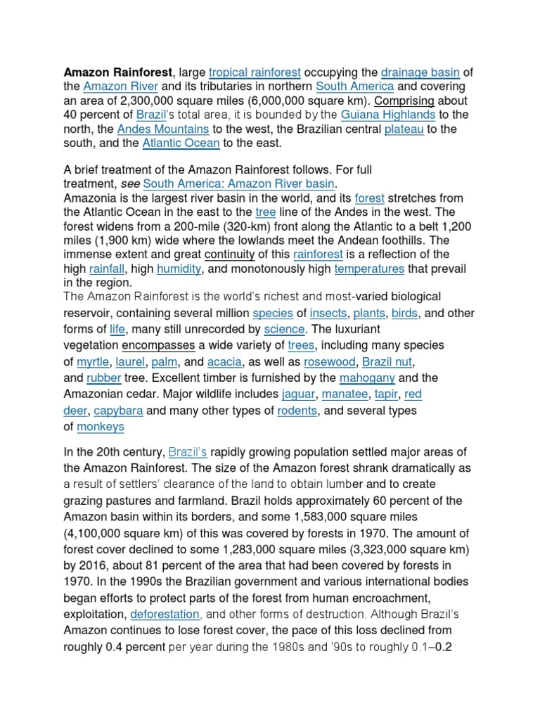 Amazon Rainforest Large Download Free Pdf Amazon Rainforest