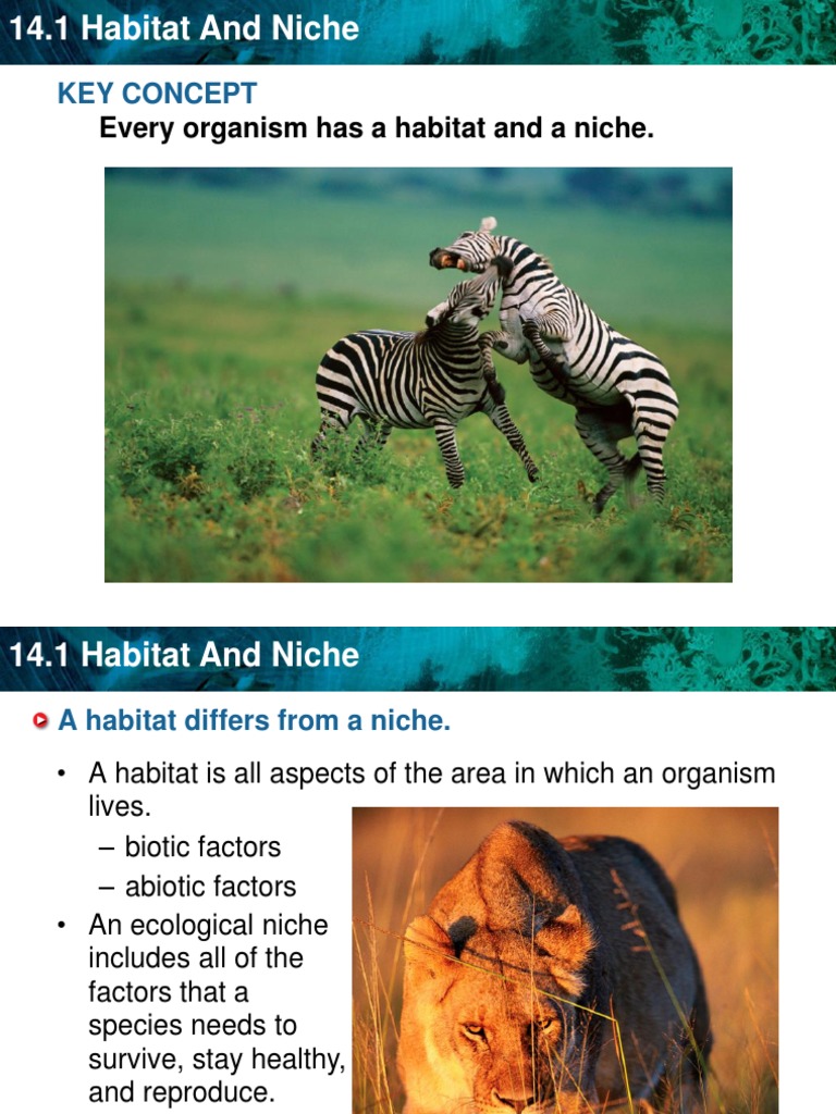 Ecological Niche | PDF