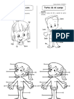 1ro Partes Del Cuerpo y La Cara