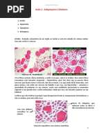 Adaptações Celulares