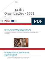 Estrutura Das Organizações - 5651