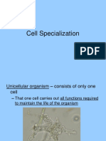 A12 Cell - Specialization PDF