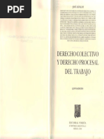 Derecho Colectivo y Derecho Procesal Del PDF | PDF
