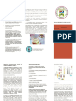 Triptico TRANSFERENCIA