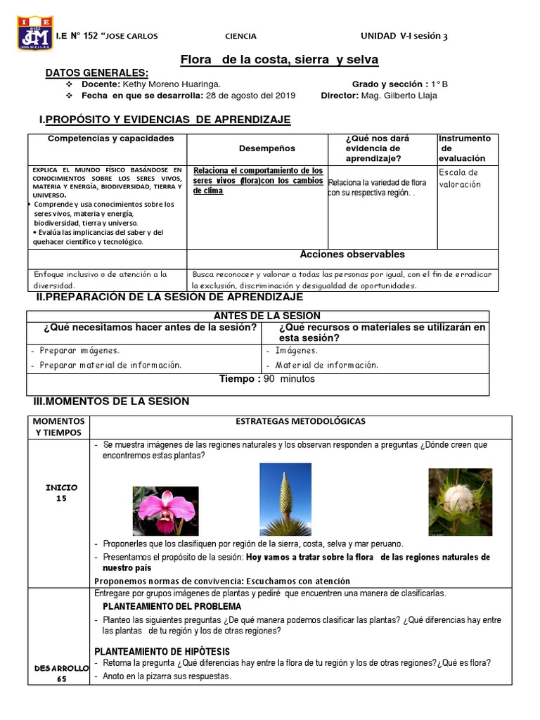 SESION 1ER GRADO - Ciencia y Tecnología | PDF | Biodiversidad | Universo