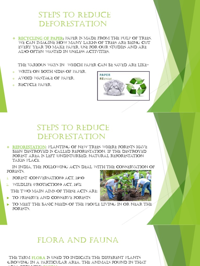 Steps To Reduce Deforestation: Recycling of Paper | PDF | Forests | Plants