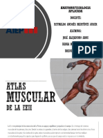 Atlas muscular de la EEII.pptx