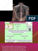 Neuropatiasperifericas 151106002949 Lva1 App6892