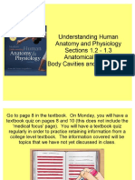 body regions and planes and cavities