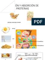 Abrosción de Peptidos