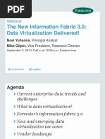 The New Information Fabric 3.0: Data Virtualization Delivered!