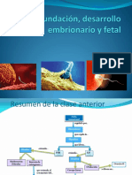 Fecundación-desarrollo-embrionario-y-fetal