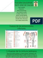 Exposicion de Naturales