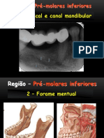 Pré e molares inferiores.pptx