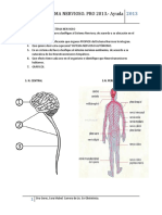 guias_nervioso2013