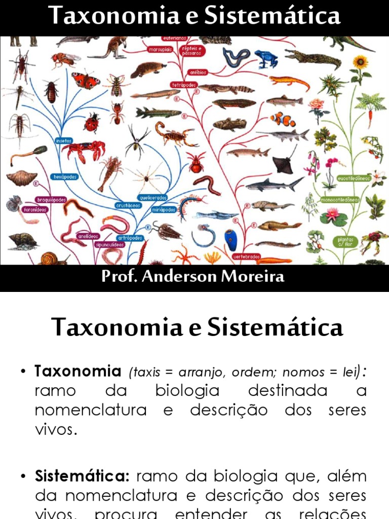 Taxonomia e Sistemática na Biologia | PDF | Taxonomia (Biologia ...