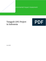 Ino Tangguh Lng Project