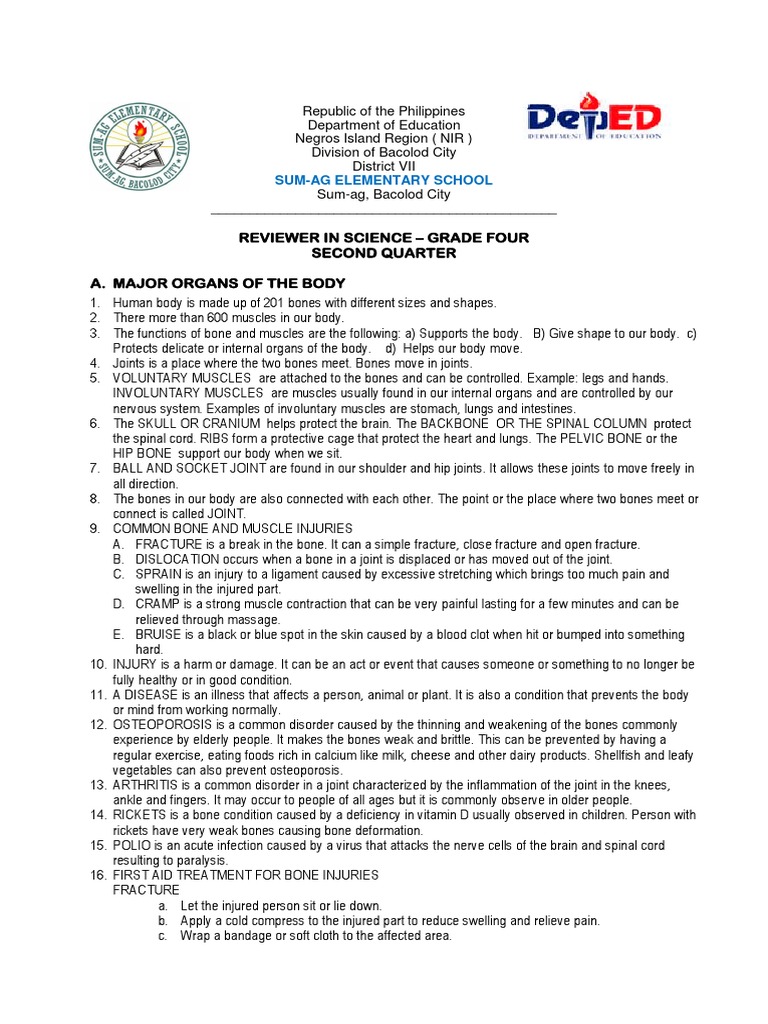 Grade 4 Science: Body Organs Review | PDF | Digestion | Seed