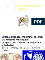 anatomia ombro.pdf