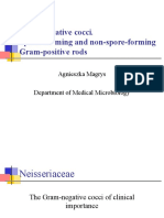 Lab7 - Gram Negative Cocci