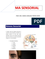 Sistemas Sensoriais: Visão, Audição, Equilíbrio, Gustação e Olfação