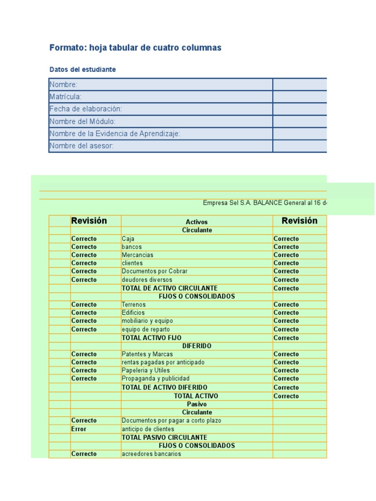 Formato de Hoja de Balance General | PDF | Hoja de balance | Contabilidad