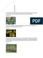 25 Plantas Medicinales