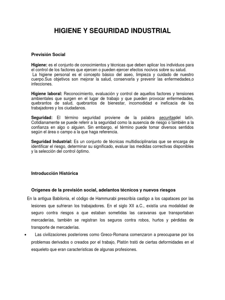 Higiene y Seguridad Industrial | PDF | Seguridad y salud ocupacional ...