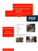 Sistema de Produccion Equina.