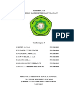 Identifikasi Bakteri Enterobacteriaceae