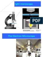 Light Microscope: Cells and Microscopy