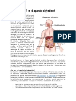 El funcionamiento del aparato digestivo.docx