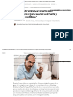 “El Cáncer de Vesícula Es Mucho Más Frecuente en Regiones Como La de Salta y Cerca de La Cordillera”