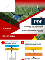 Klhs RTRW Pelalawan - Uji Publik 1