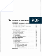 9. Evaluacion del riesgo en proyectos mineros.pdf