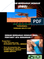 Demam Berdarah Power Point