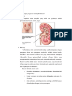 Etiologi Sampai Prognosis Dari Nephrolitiasis