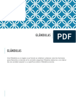 Glándulas: Alex Ramírez 2°A