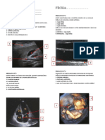 Guia - Practica #2