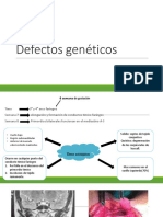 Defectos Genéticos Cabezza y Cuekki