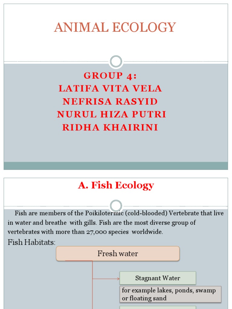 ANIMAL ECOLOGY PPT 10 | PDF | Benthic Zone | Biodiversity