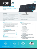 Sílabo - Programación Orientada A Objetos - C++