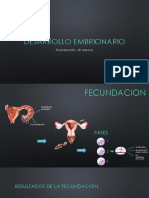 Desarrollo Embrionario