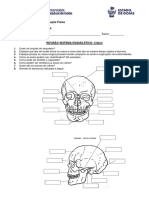 Fixação Sistema Esquelético - Crânio PDF