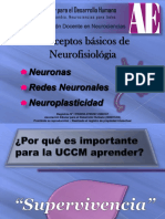 Neuronas.pdf