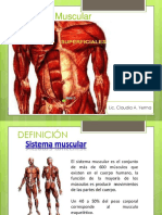 8 Sistema Muscular