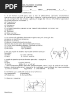Ficha Atividades Sist Reprodutor e Puberdade-8-ANO