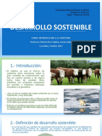 desarrollo_sostenible