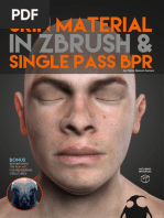 A Guide To - Skin Material With ZBrush and Single Pass BPR - PabloMunozG PDF